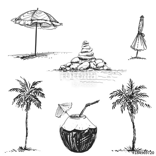 500x500 Hand Drawn Illustration Set Of Palm And Coconut, Umbrella, Stones - Coconut Sketch