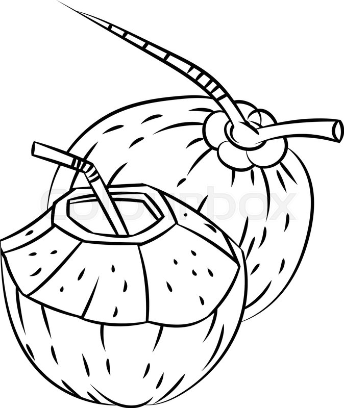 674x800 Hand Drawn Sketch Of Coconut And Coconut Water Isolated, Black And - Coconut Sketch