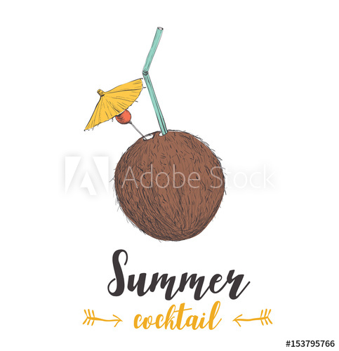 483x500 Skech Cocktail Coconut. Sketch Cocktail Vector - Coconut Sketch