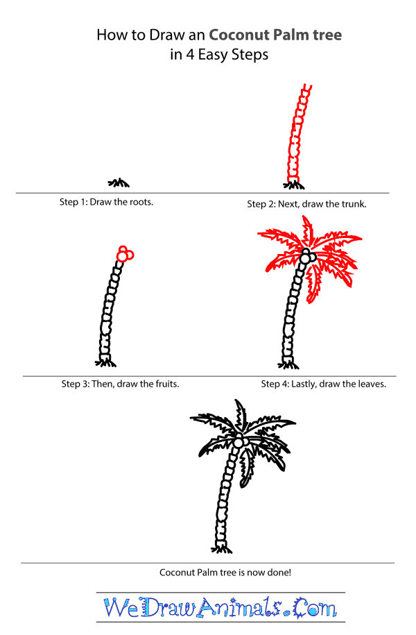 600x915 How To Draw A Coconut Palm Tree - Coconut Tree Sketch
