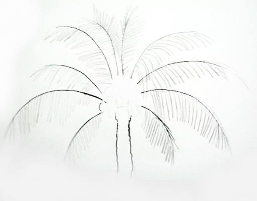 512x400 How To Draw A Coconut Palm Tree - Coconut Tree Sketch