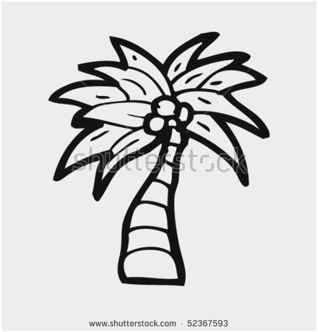 450x470 66 New Release Models Of Coconut Tree Coloring - Coconut Tree Sketch