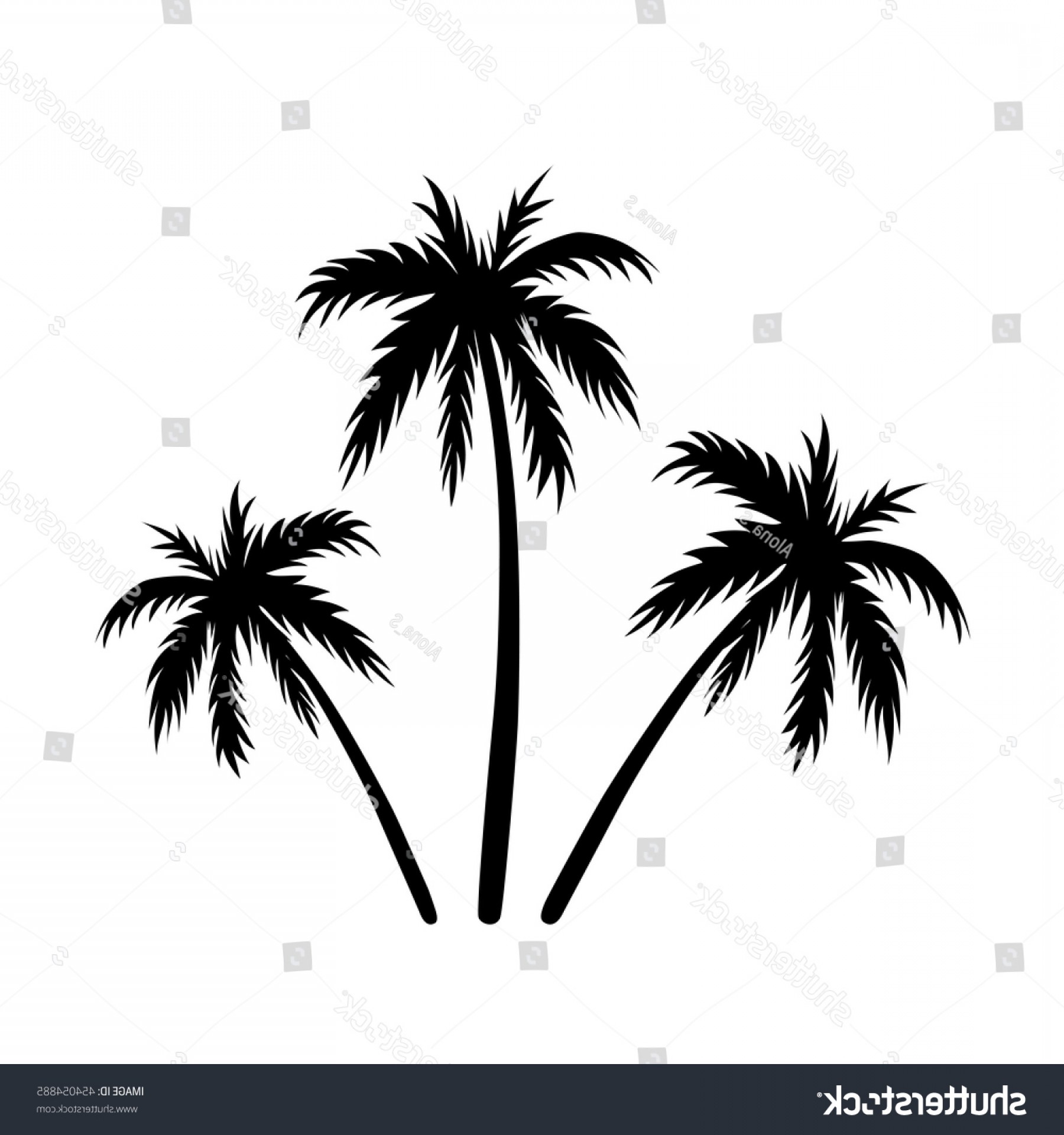 Coconut Tree Sketch at PaintingValley.com | Explore collection of ...