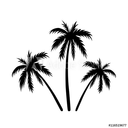 Coconut Tree Sketch at PaintingValley.com | Explore collection of ...