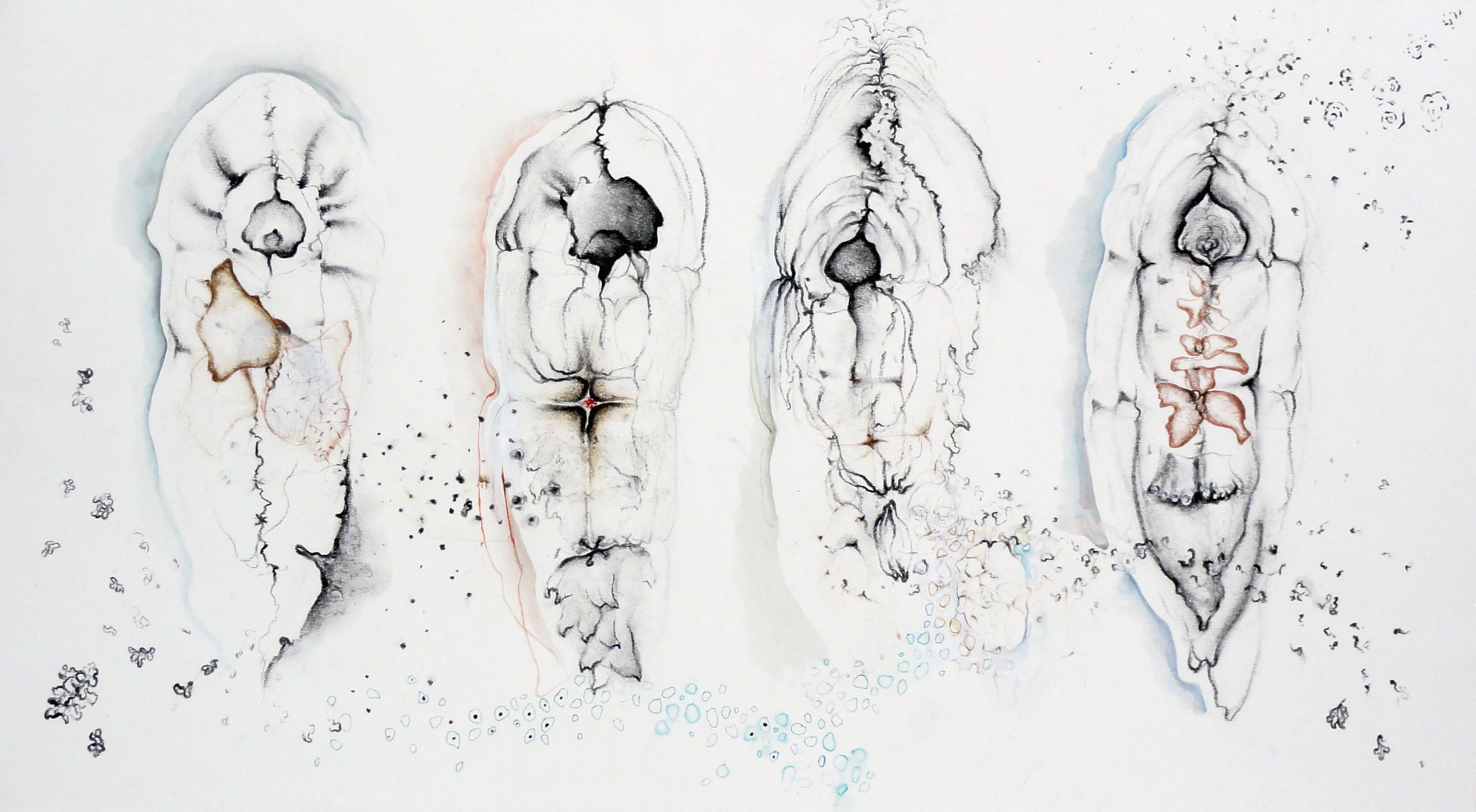 3414x1878 Mieke Blees - Cocoon Sketch