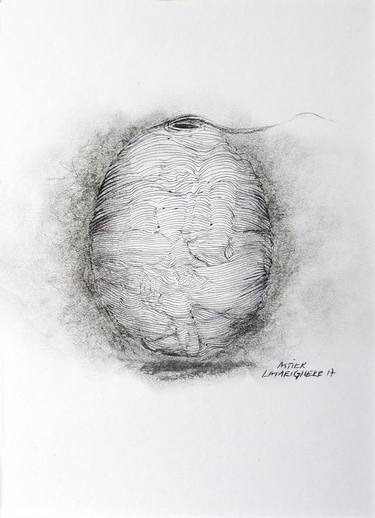 375x518 The Cocoon - Cocoon Sketch