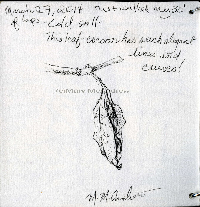 670x691 Cocoon Mary Mcandrew - Cocoon Sketch