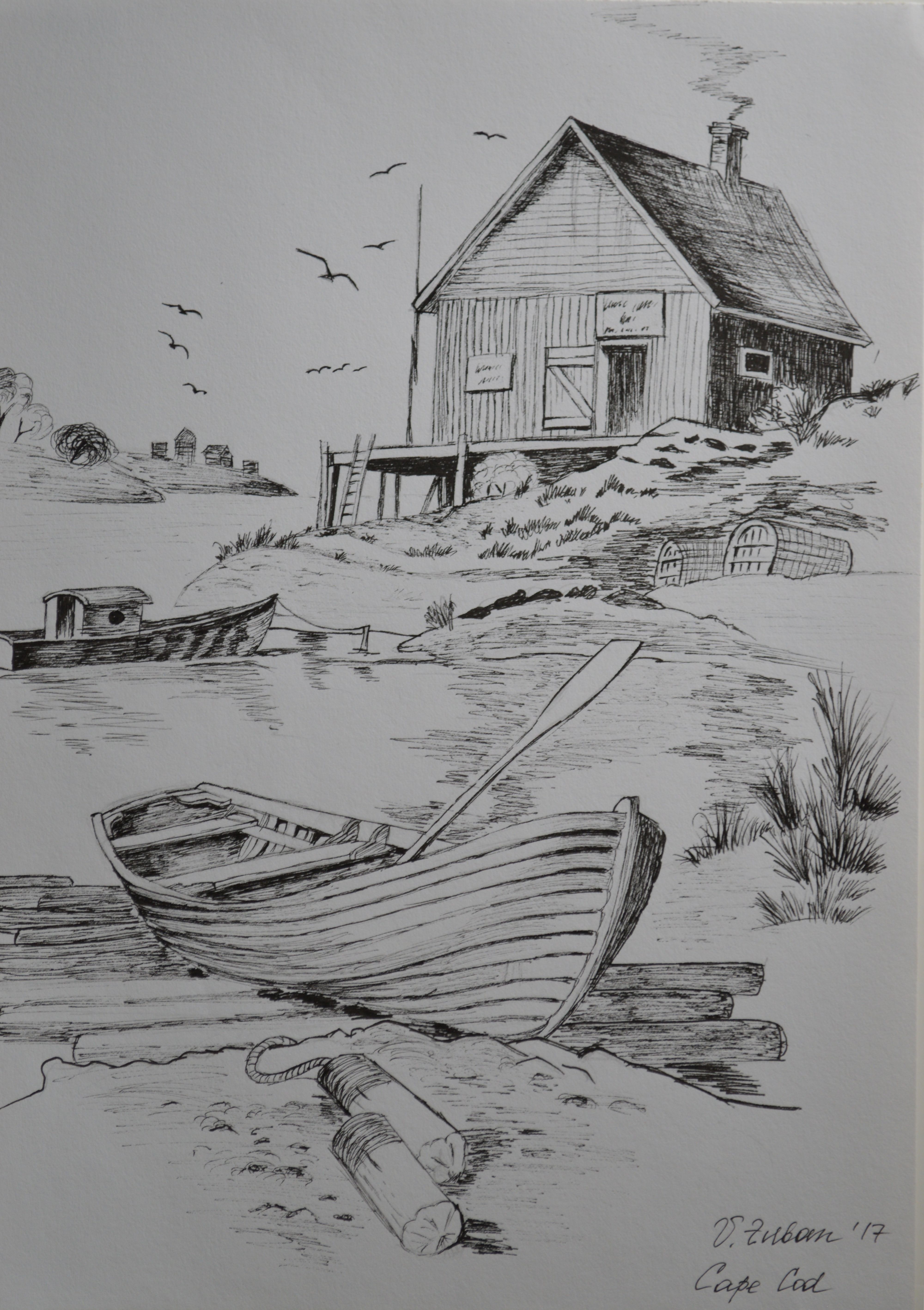 4000x5672 Cape Cod Sketch In Ink. 9in12in. Illustrations - Cod Sketch