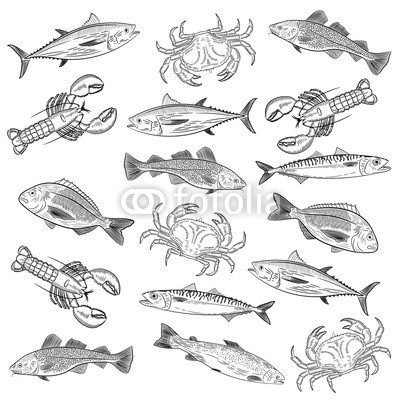400x400 Set Of Painted Popular Sea Fish And Crab,lobster. Salmon, Tuna - Cod Sketch