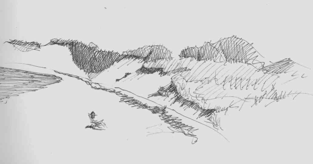 1033x542 Sketchbook Blog - Cod Sketch