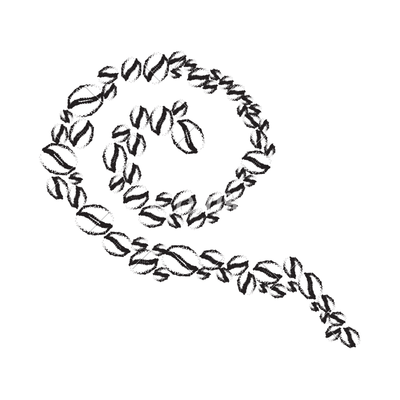 800x800 Coffee Beans Swirl Sketch - Coffee Bean Sketch