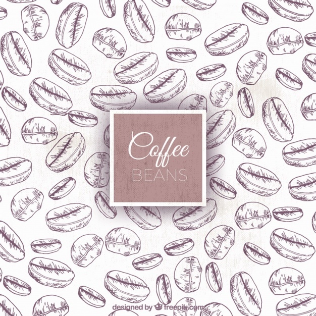626x626 Coffee Beans Vectors, Photos And Psd Files Free Download - Coffee Bean Sketch