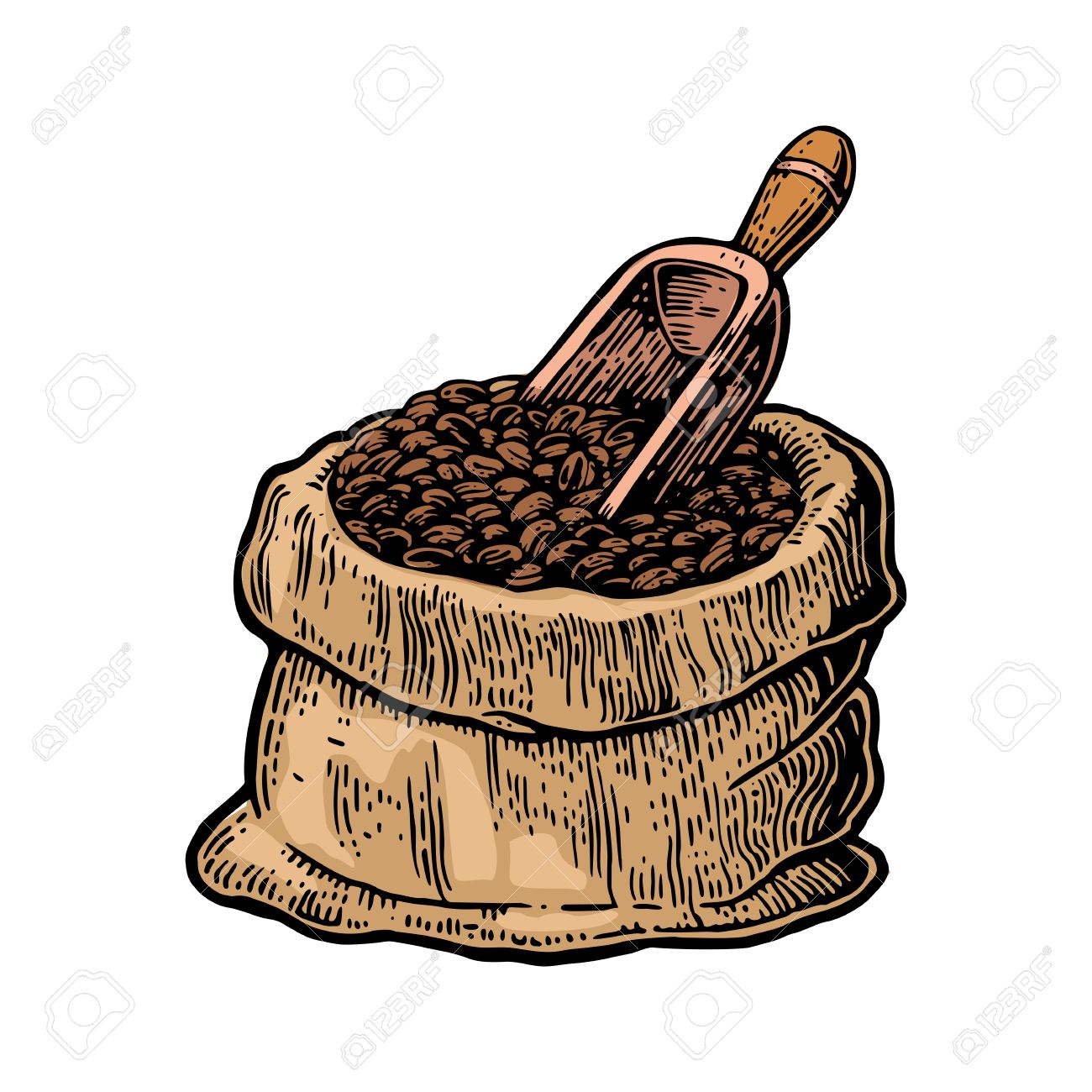 1300x1300 Collection Of Coffee Bean Bag Clipart High Quality, Free - Coffee Bean Sketch