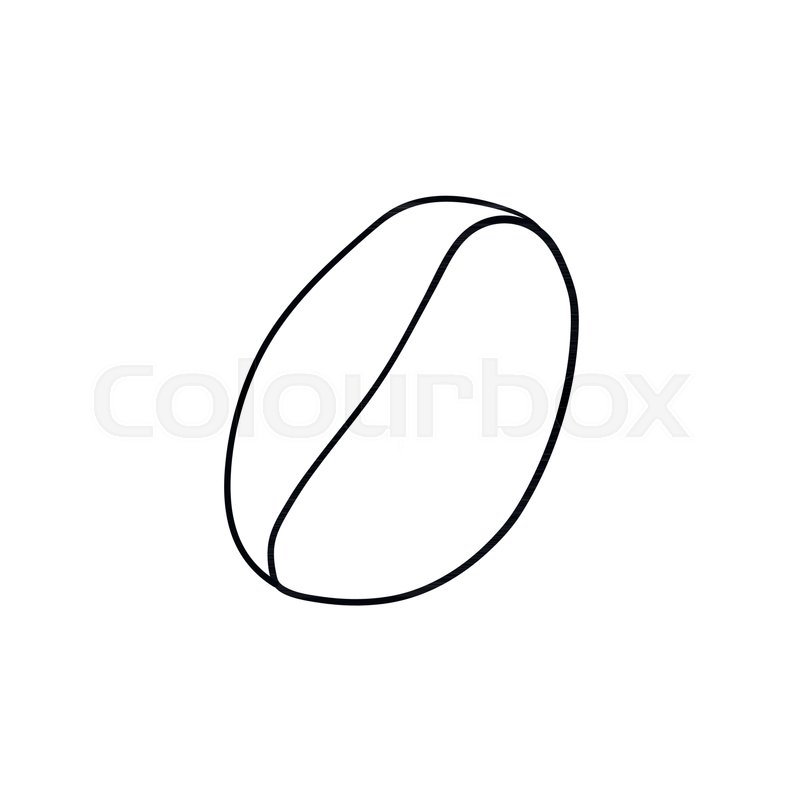 800x800 Coffee Bean Hand Drawn Outline Doodle Icon. Vector Sketch - Coffee Bean Sketch