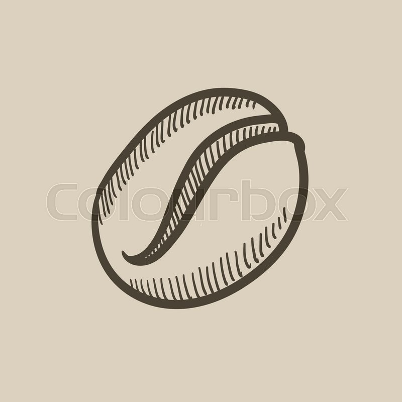 800x800 Coffee Bean Vector Sketch Icon Isolated On Background. Hand Drawn - Coffee Bean Sketch