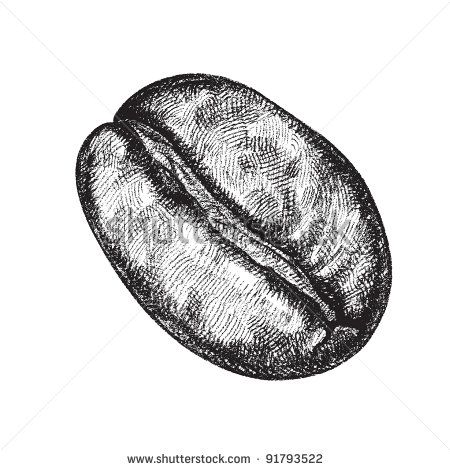 450x470 Vector Draw Of A Coffee Bean Coffee Art Coffee - Coffee Bean Sketch
