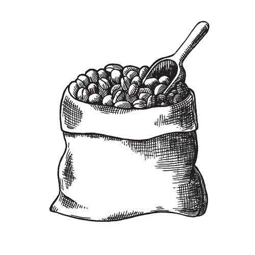 500x500 Buy Coffee Online Australia My Coffee Shop - Coffee Bean Sketch