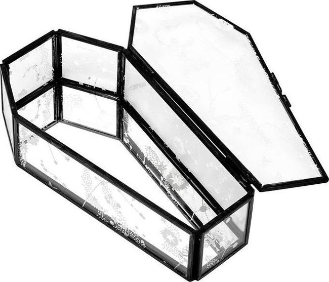 650x557 Killstar - Coffin Sketch