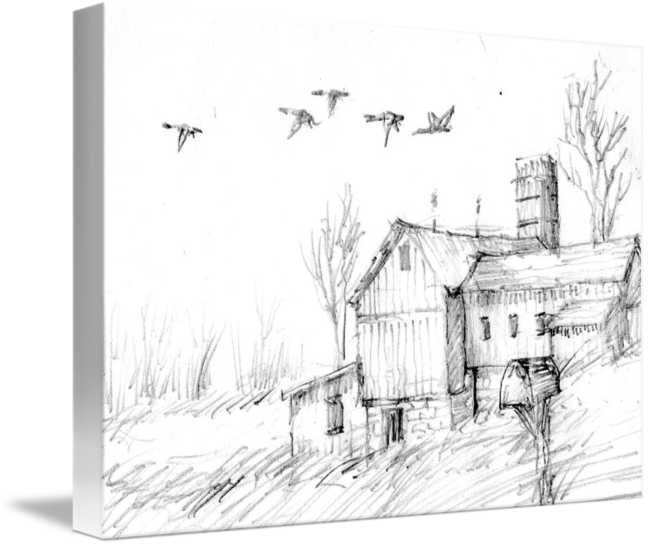 650x546 Barn Amp Geese Sketch By The Coffin Family - Coffin Sketch