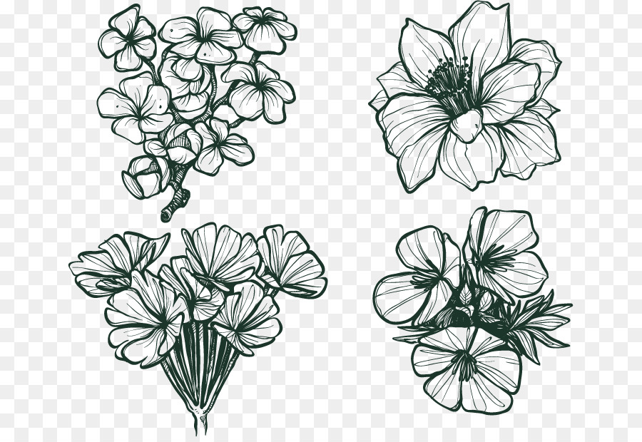 900x620 Flower Euclidean Vector Winter Cold Snow - Cold Sketch
