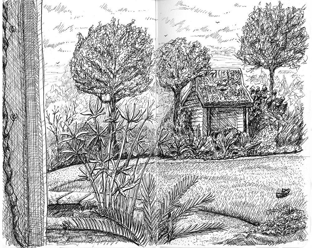 1000x795 Sketch I Did A While Back - Cold Sketch