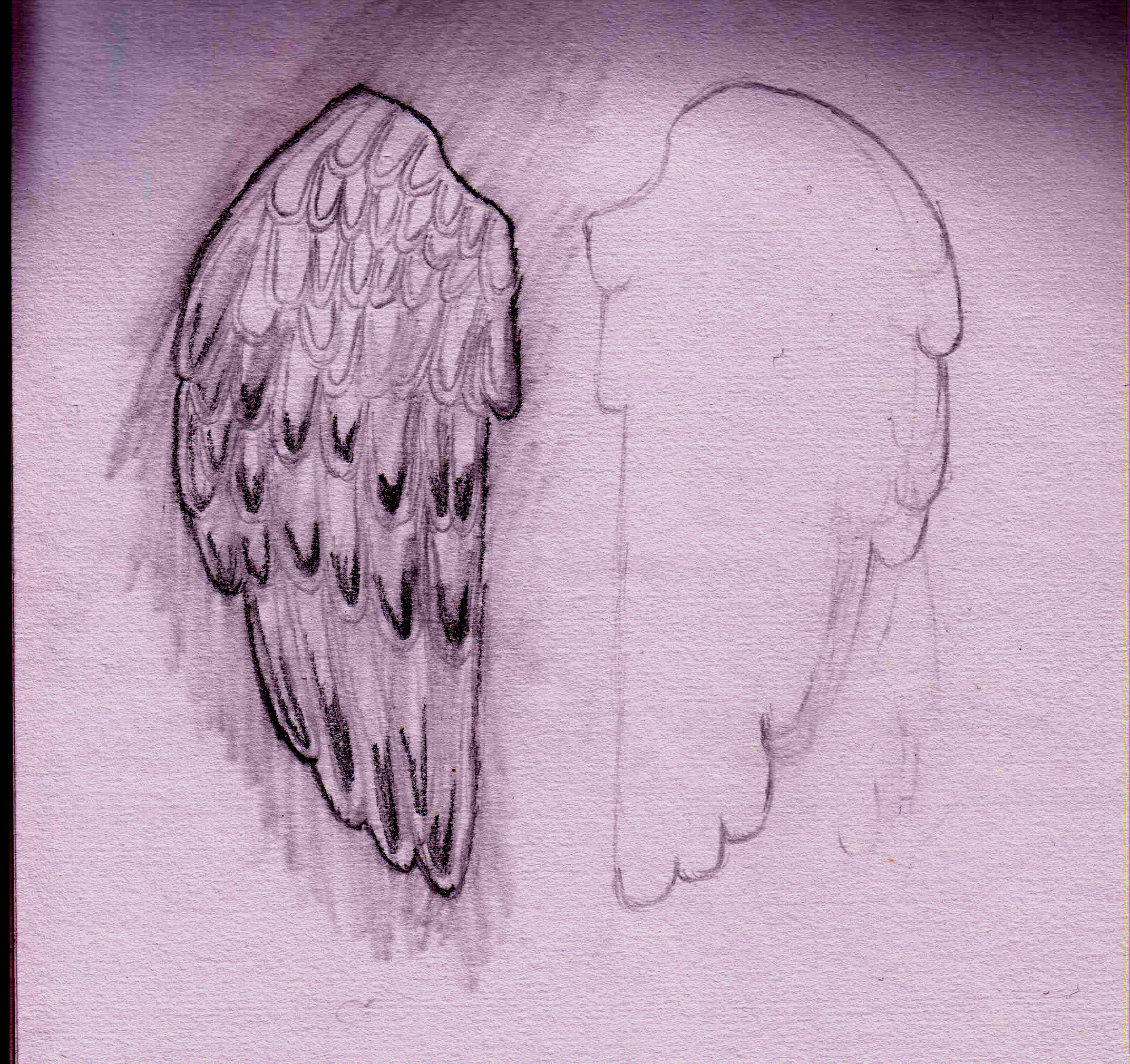 2144x2019 Soundcityart Music, Drawings And Photography - Coldplay Sketch