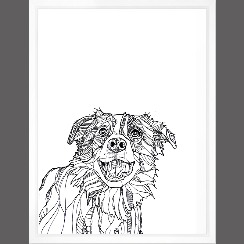 800x800 Collie - Collie Sketch