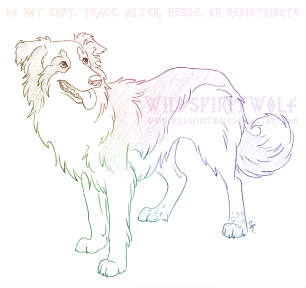 600x565 Kizzie Collie Sketch Commission By Wildspiritwolf - Collie Sketch