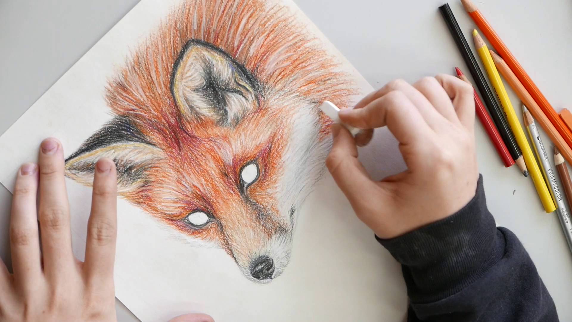 1920x1080 Red Fox Colored Pencil Drawing - Color Pencil Sketch