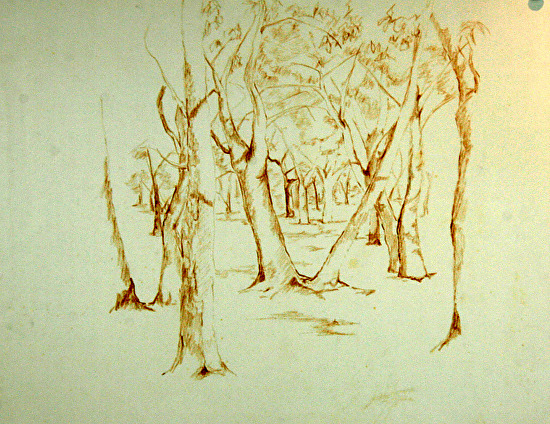 550x424 Daily Painters Of Colorado Forest Original Charcoal Landscape - Colorado Sketch