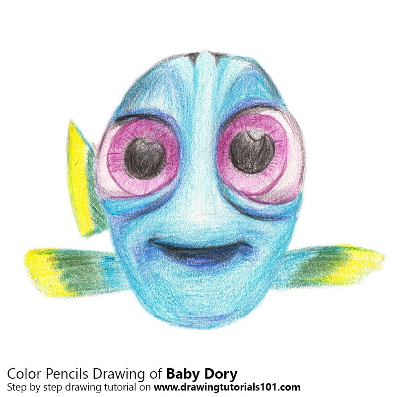 800x800 Baby Dory Colored Pencils - Colored Sketching Pencils