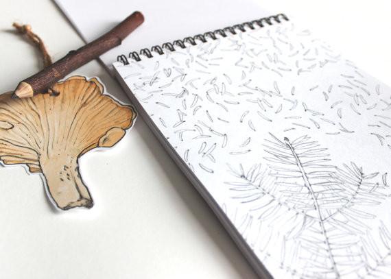 570x407 Sketches In The Wood - Coloring Book Sketches