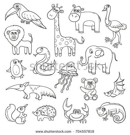 450x470 Wild Animals And Birds Cartoon Kids Set, Vector Sketches For - Coloring Book Sketches