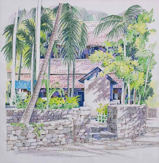 540x554 Pencil Art Photo Color Pencil Sketches - Colour Pencil Sketches
