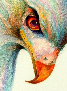236x320 Colored Pencil Drawings - Colour Pencil Sketches