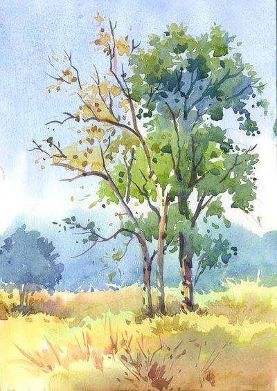 400x565 Colour Sketch Of Trees By On @ - Colour Sketch