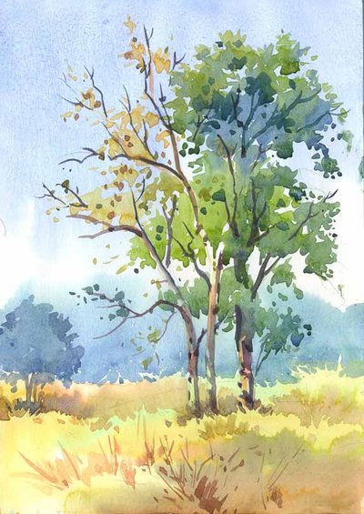 400x565 Colour Sketch Of Trees By Kios18 - Colour Sketch Images