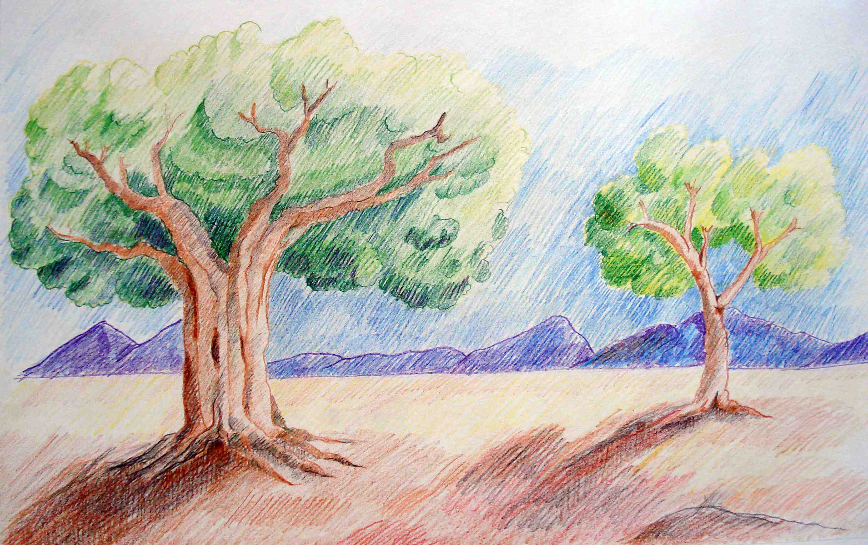 2776x1744 Simple Drawing Images Easy With Colour Simple Color Sketch - Colour Sketch Images