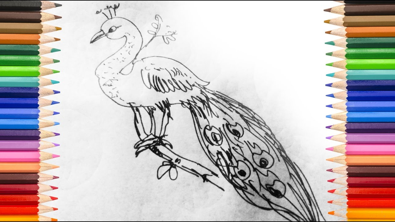 1280x720 Easy Colour Sketch Pen Drawings Drawing For Kids - Colour Sketch Pen Drawings