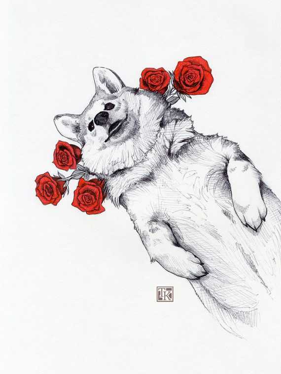 570x760 Unique Colour Sketch Pen Drawings - Colour Sketch Pen Drawings