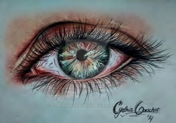 600x419 Realistic Pencil Drawing Eyes Coloured By Cynthiaoorschot - Coloured Eye Sketch