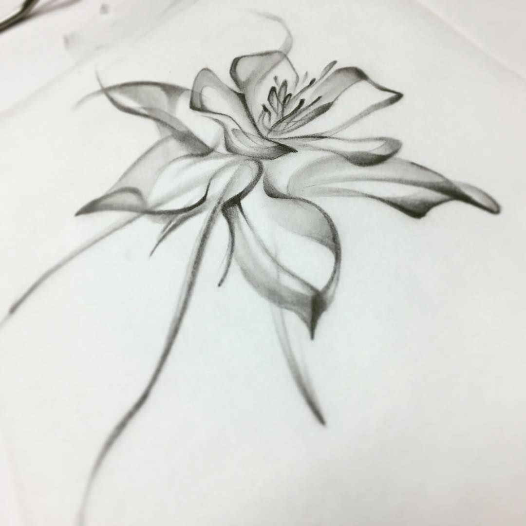 1080x1080 Images Tagged With - Columbine Flower Sketch