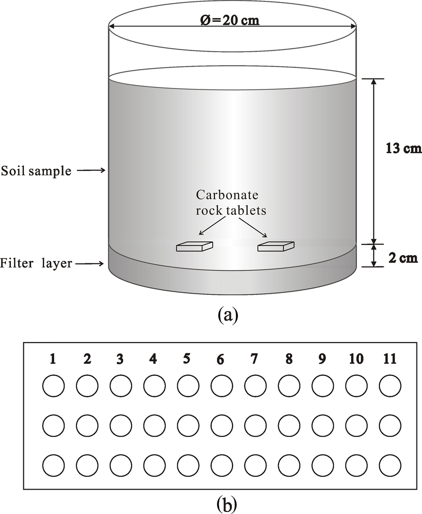 850x1034 Sketch Of The Soil Column (A) And Their On Site Layout (B). (A - Column Sketch