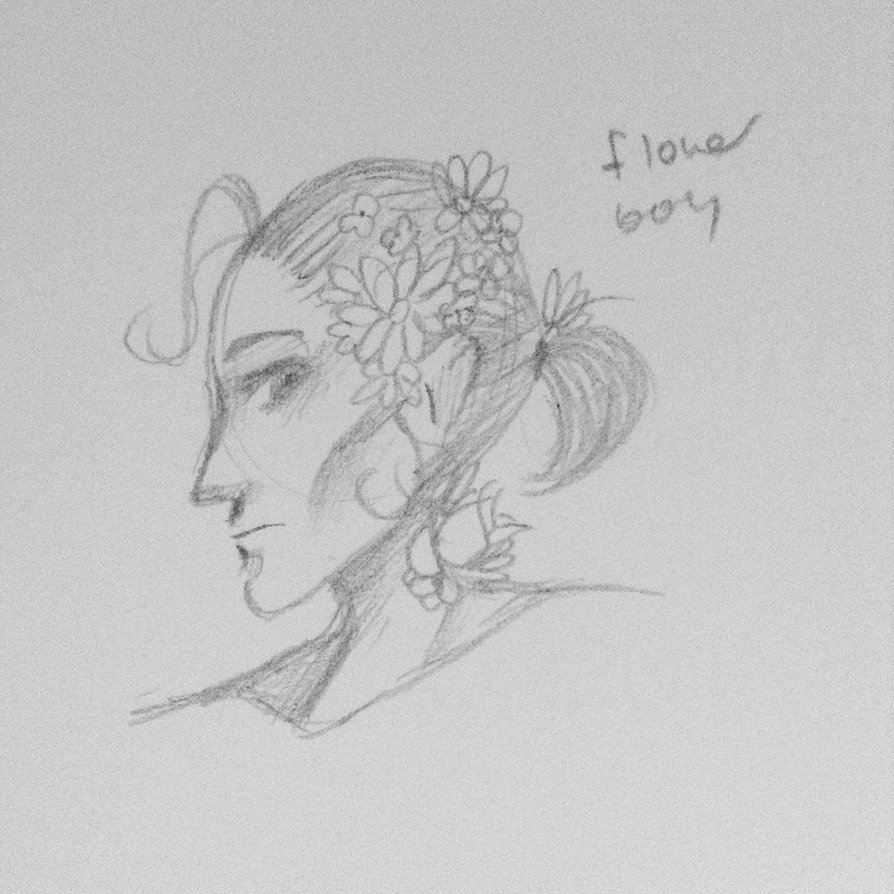 894x894 Flower Boy By The Sketch Comet - Comet Sketch