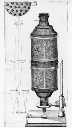 242x428 Compound Microscope, C 1676. - Compound Microscope Sketch