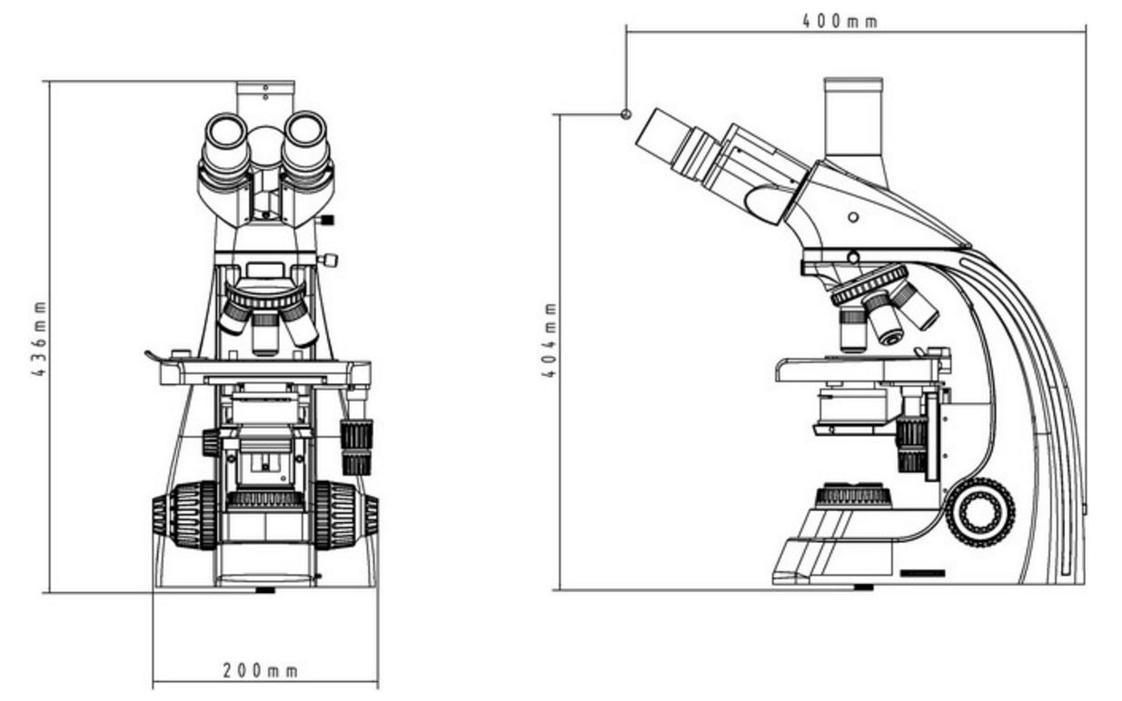 1235x772 Gx Microscopes L2800 Series - Compound Microscope Sketch