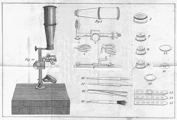 591x400 New Improved Pocket Compound Microscope C.1830 - Compound Microscope Sketch