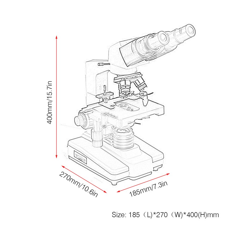 Compound Microscope Sketch at Explore collection