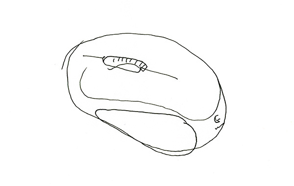600x380 Computer Mouse Sketch - Computer Mouse Sketch