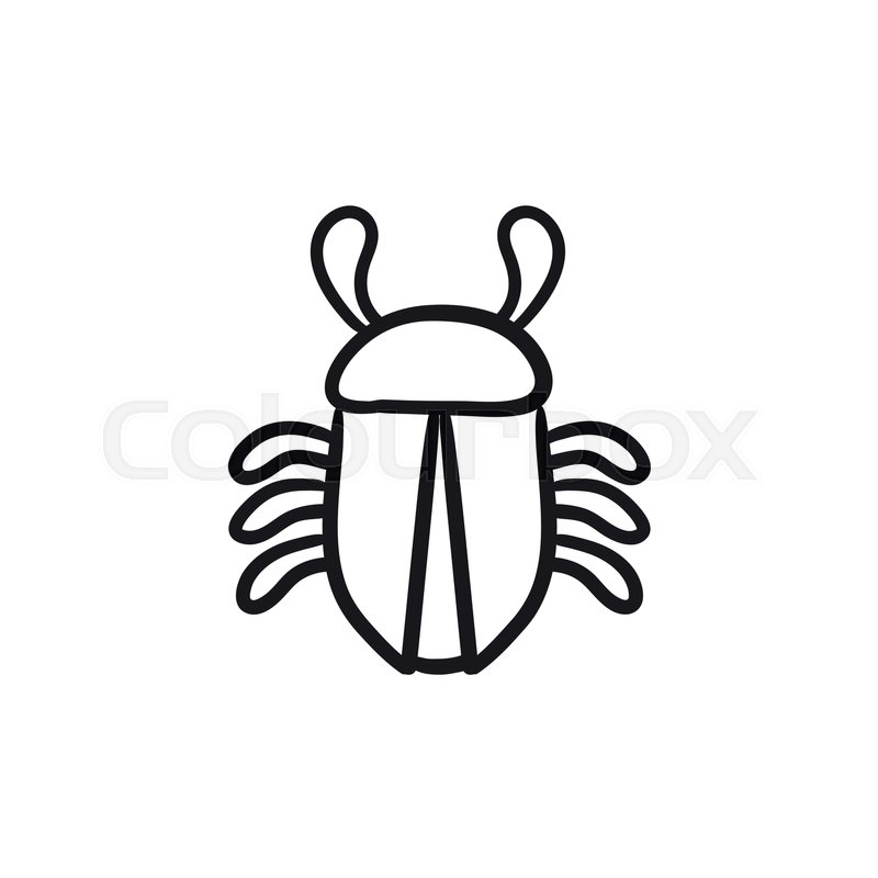 800x800 Computer Bug Vector Sketch Icon Isolated On Background. Hand Drawn - Computer Sketch